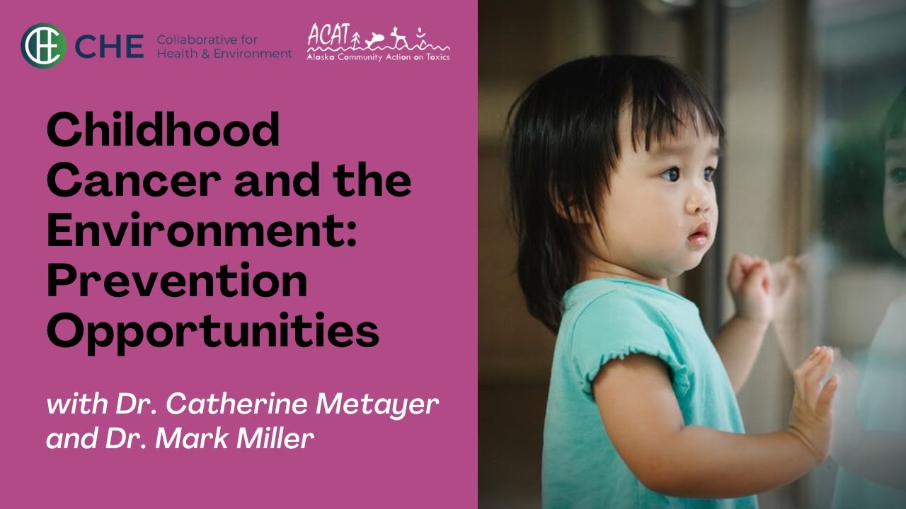 Childhood Cancer & the Environment: Prevention Opportunities