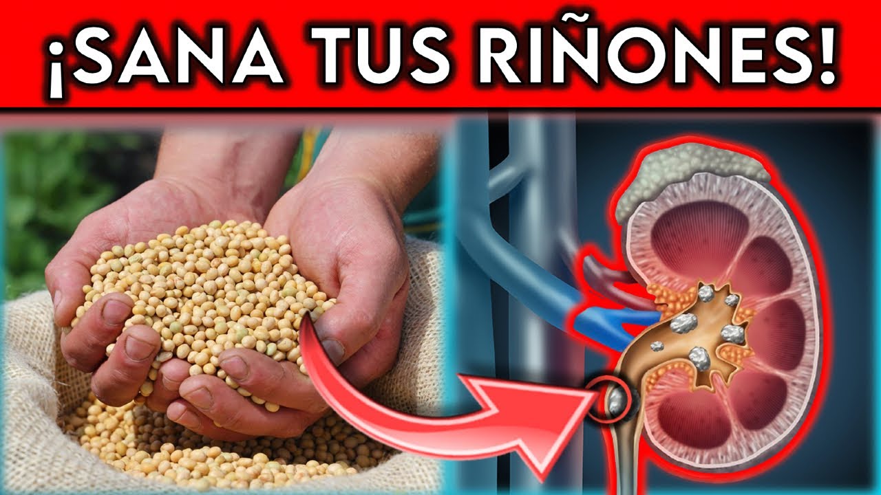 9 ALIMENTOS MILAGROSOS que CURAN tus RI&Ntilde;ONES || &iexcl;EVITA la DI&Aacute;LISIS!
