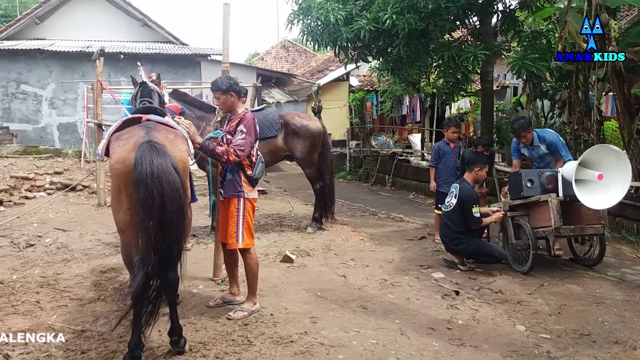 KESIBUKAN PERSIAPAN KUDA RENGGONG SULTAN GRUP