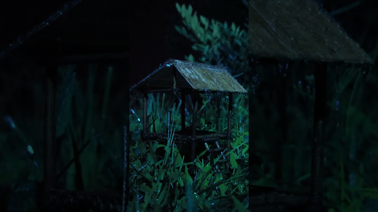 Rainy Night in a Rice Field Hut | Natural Frog Sounds (No Music #shortvideos #rainoundforsleep