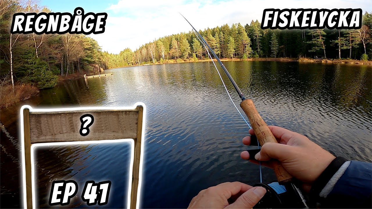 Flugfiske Efter Regnbåge i Underbar Miljö | Fiskelycka | Ep 41