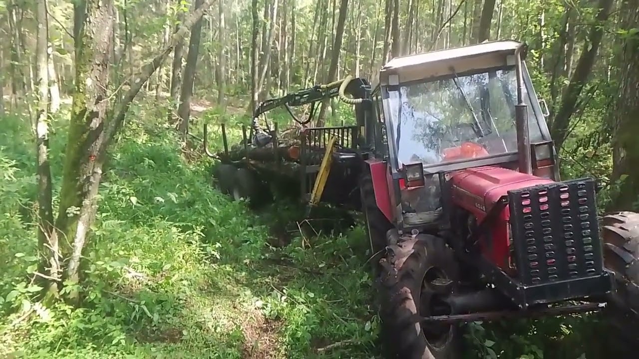 OSTROŻNA ROBOTA NA OLSZYNIE - ZETOR 6045 i FTG FB70, #tractor, #forest, #zrywka_drewna