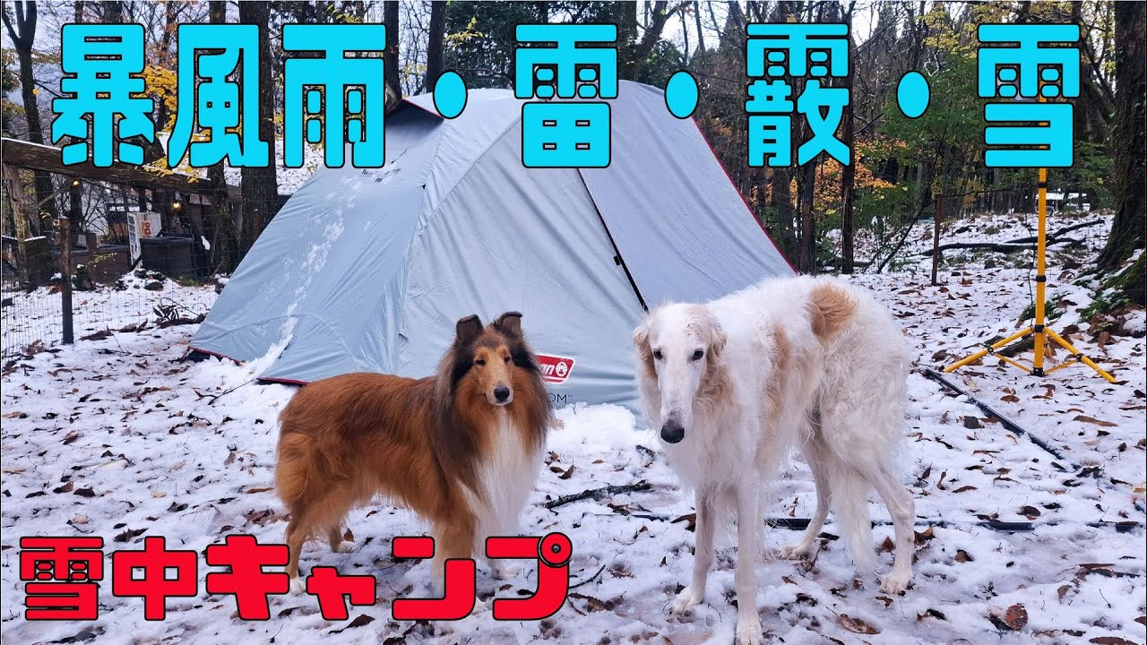 寒波襲来！暴風雨・雷・霰・雪　大荒れ(雪中キャンプ)(ビワマス)(奥琵琶湖前編)(ソロキャンプ＋ワンズ3)