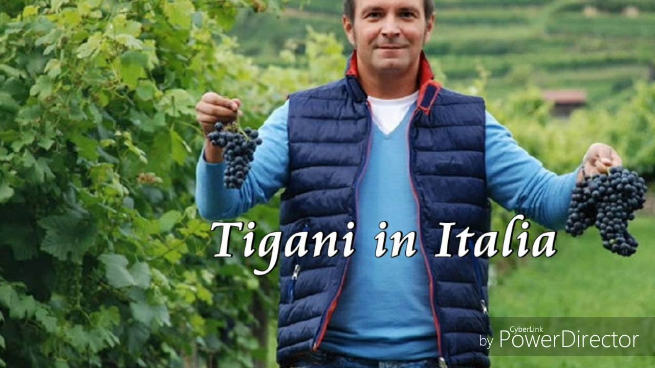 Daniel Buzdugan - Farsă - Țigani/Italia