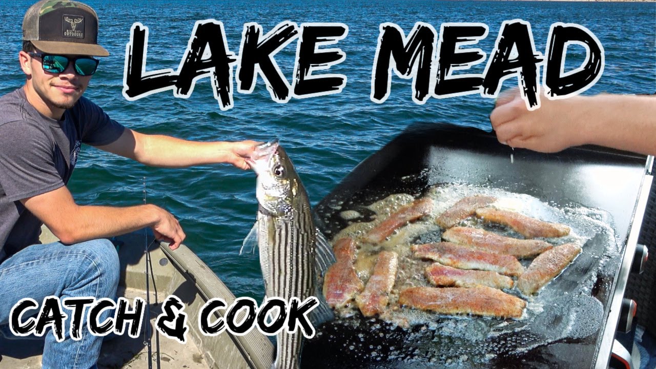 Waters Droppin, Food is Poppin, Lake Mead Catch and Cook