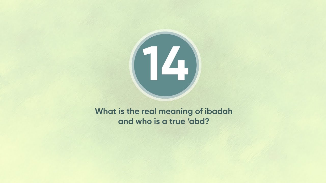 What is the real meaning of ibadah and who is a true 'abd?