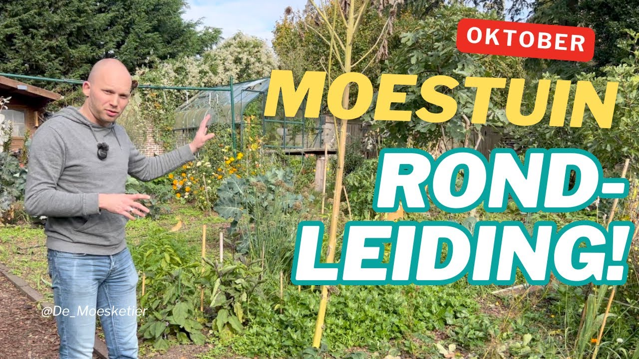 🌿 Moestuinrondleiding oktober 🍂 | Wat groeit er nog in de herfst? | De Moesketier