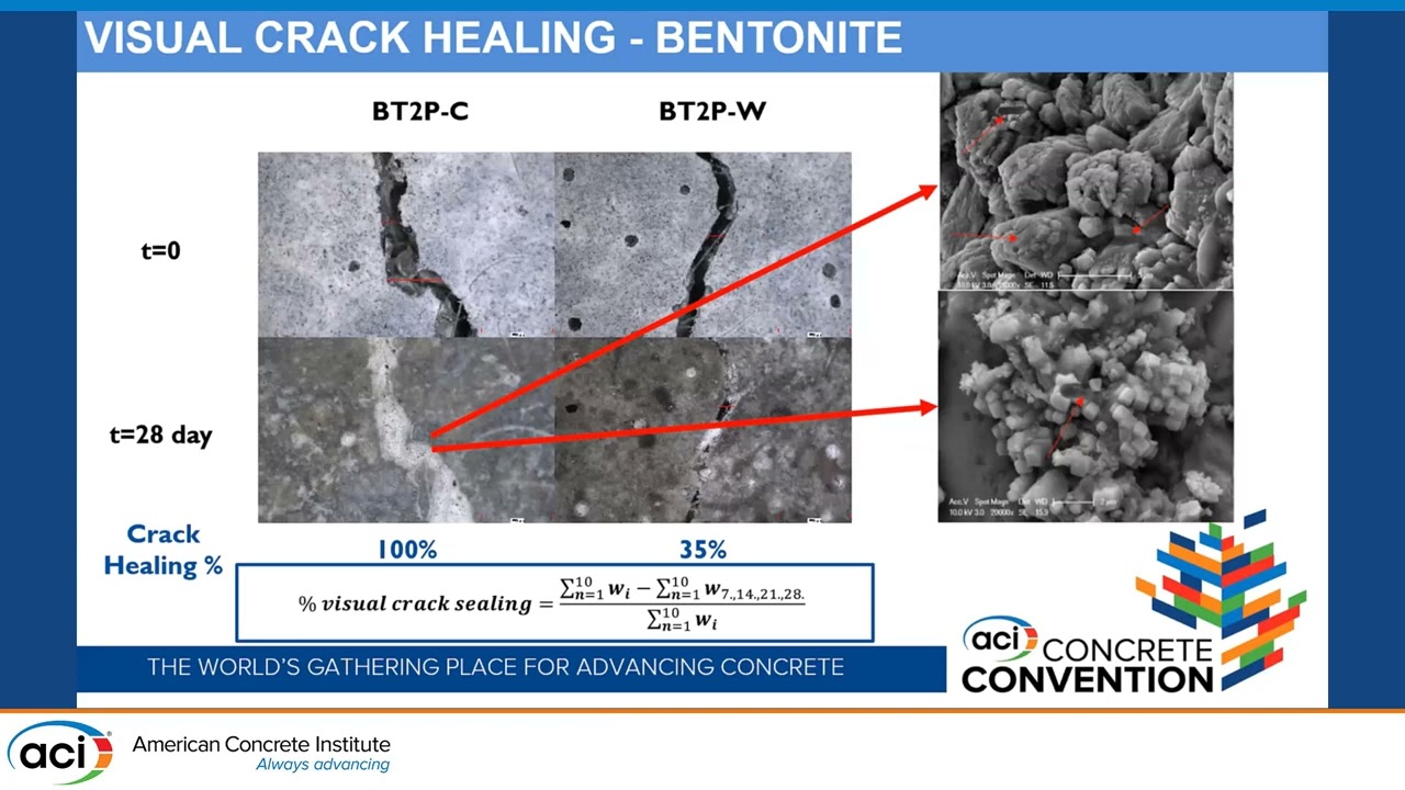 Immobilization of Bacterial Cells on Natural Mineral for Developing Self-Healing Cement-Based Mortar