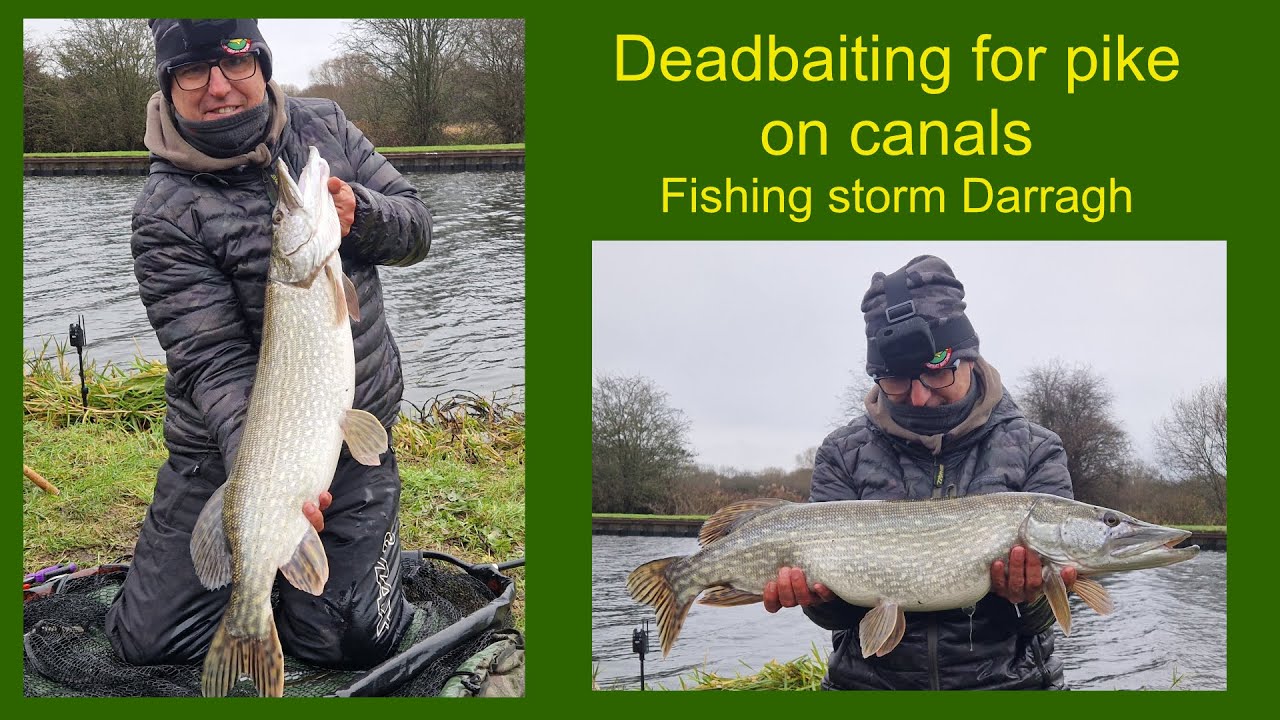 Deadbaiting for pike on canals