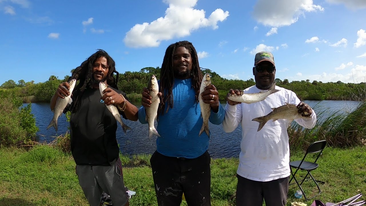 FISHING for MULLET with a ROD and REEL!!?? 🤯 #Saltwater #FloridaFishing #MulletFishing