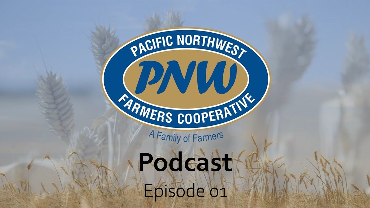 PNWFC Podcast - Episode 01