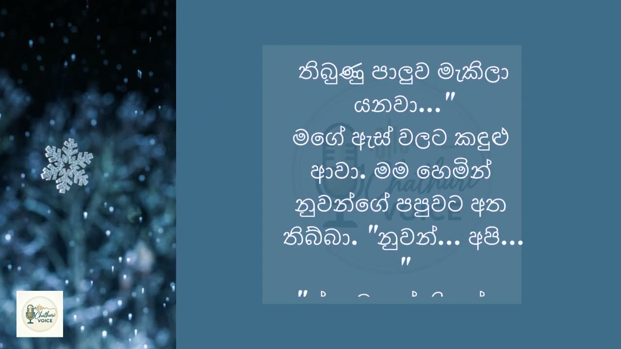 අනේ එපා අයියේ, කවුරු හරි දකියි | sinhala keti katha | new sinhala short stories 21