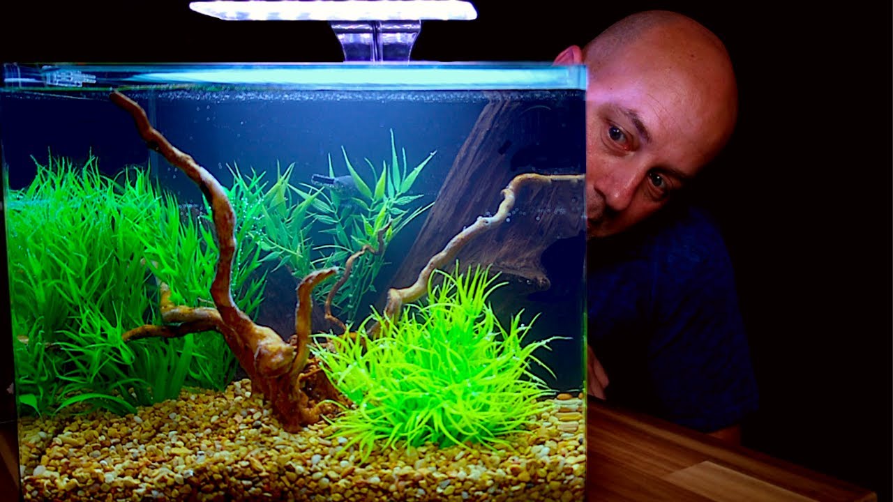 Aquascaping and Review Of Imagitarium 6.8 Gallon Kit