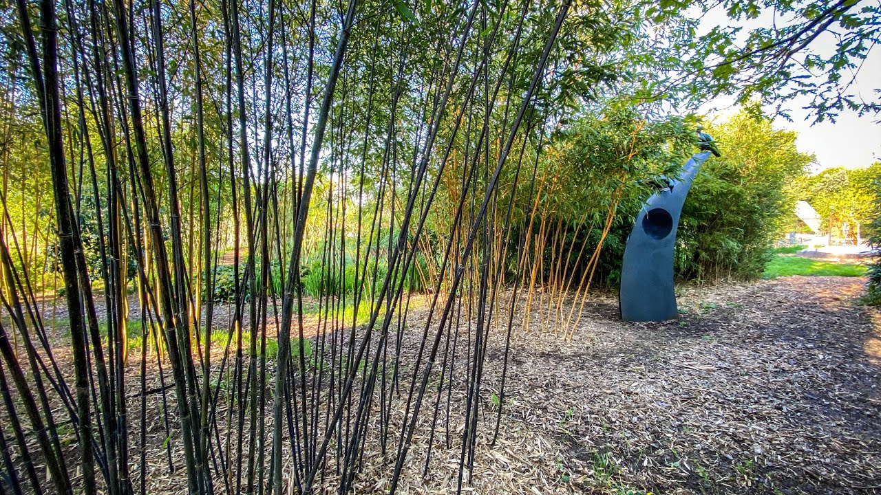 Sculpture by the Lakes Tour Pt. 5