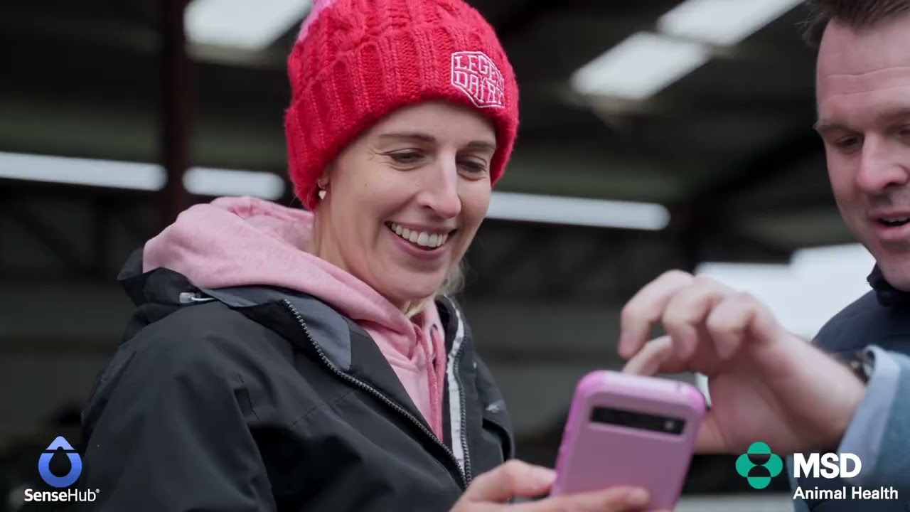 Collars a 'gamechanger' for Carlow dairy farmer | Life with SenseHub Series