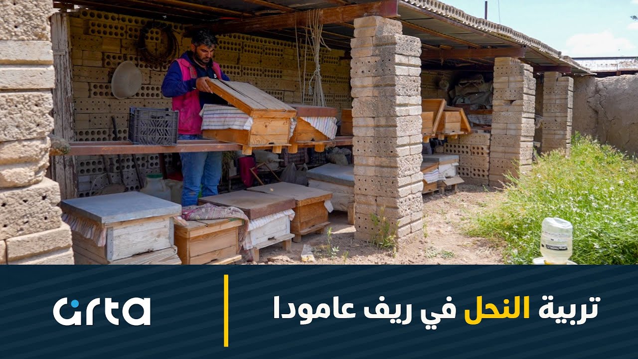 تربية النحل في ريف عامودا