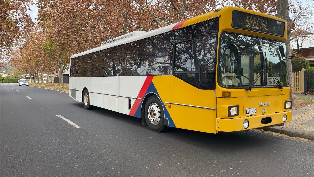 Preserved MAN SL202 Diesel #425 Ex STA & TransAdelaide #1325