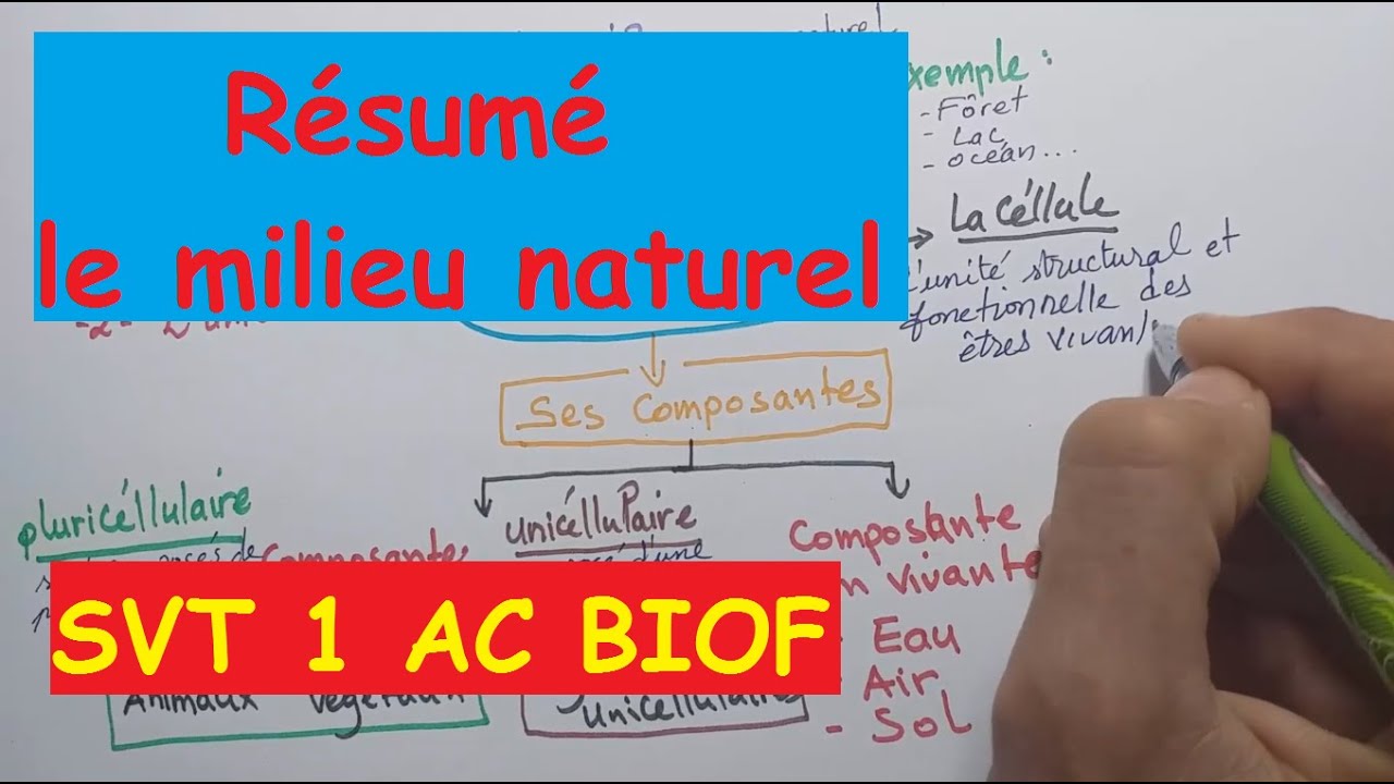 SVT 1AC, R&eacute;sum&eacute;  milieu naturel en 3 minutes!