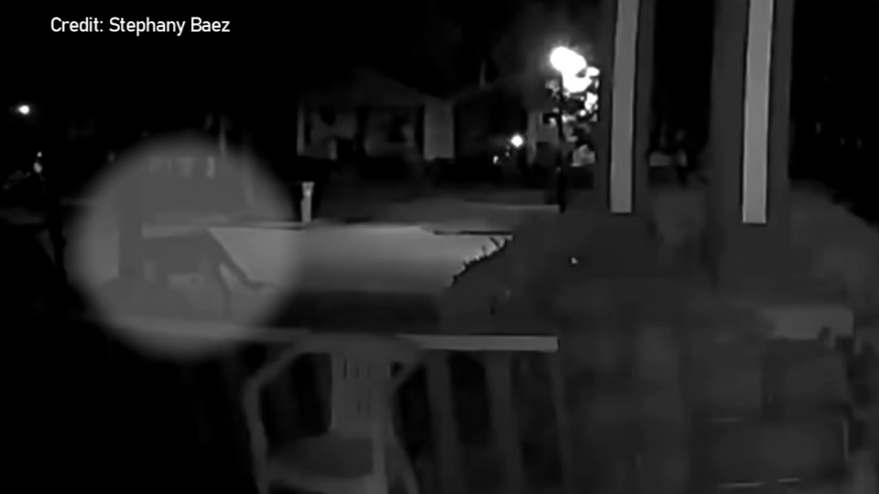 Man describes face-to-face encounter with mysterious large cat in New York: 