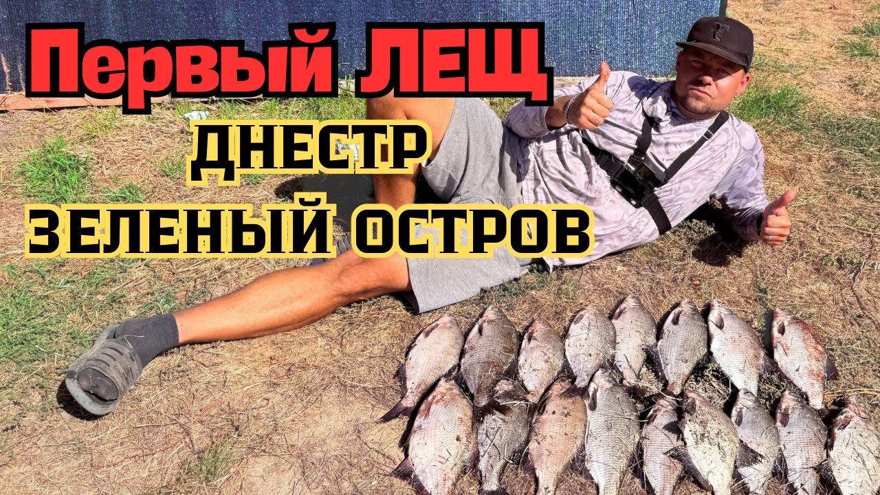 Днестр, Зеленый остров. Большой улов Леща. #fishing#рыбалка#рыбалканафидер#днестр 