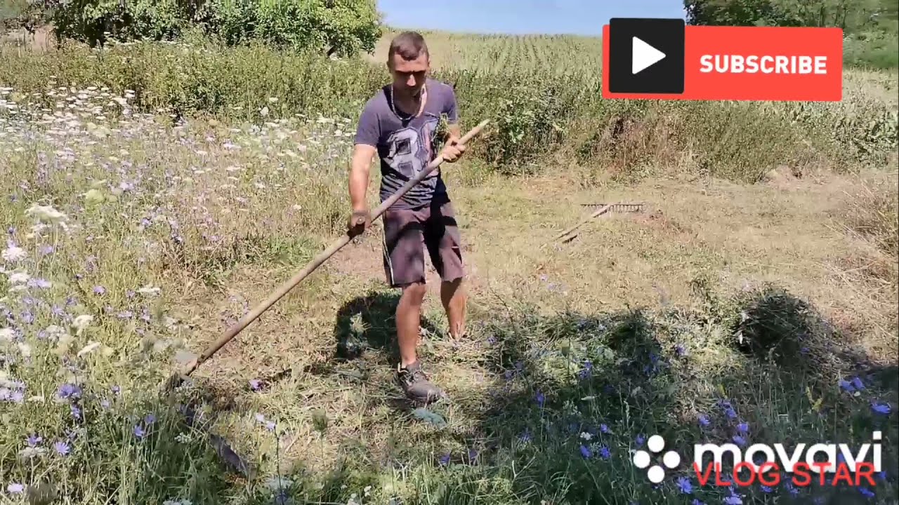 Hogyan tanulj meg #kaszálni? Hogyan lesz a #rend kaszáláskor?? #kézikaszával #Manual #mowing