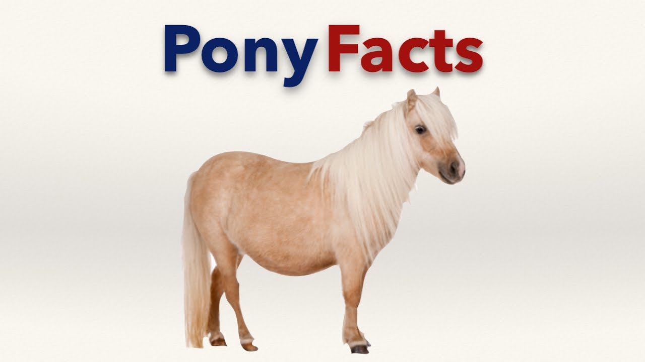 Pony Facts