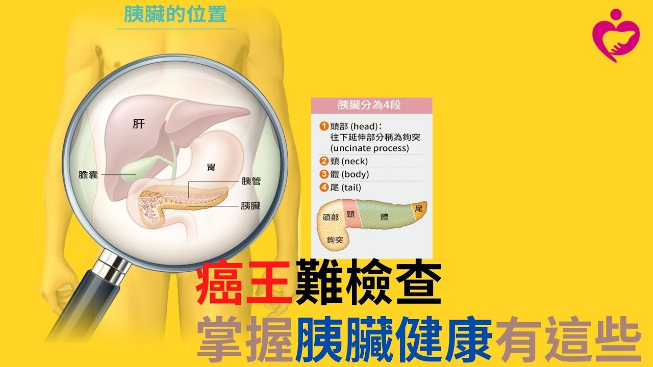 癌王難檢查 掌握胰臟健康有這些｜好心肝˙好健康