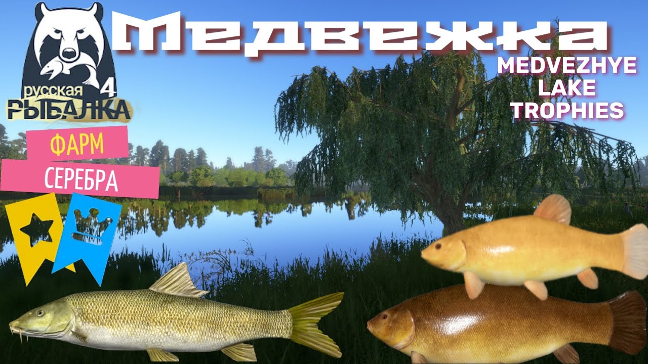 Медвежье как ЛОВИТЬ ТРОФЕИ Русская рыбалка 4. Medvezhye how TO CATCH TROPHIES Russian fishing 4