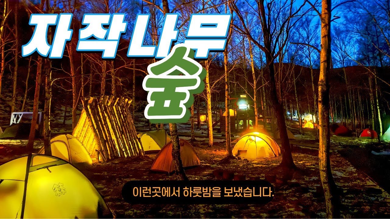 하늘을 보면 수많은 별들이  옆은 하얀 자작나무들이  그 옆은 알록달록한 텐트들이 | 여기가 원추리숲 자작나무 백패킹 입니다 #백패킹 #자작나무숲 #여행 #등산