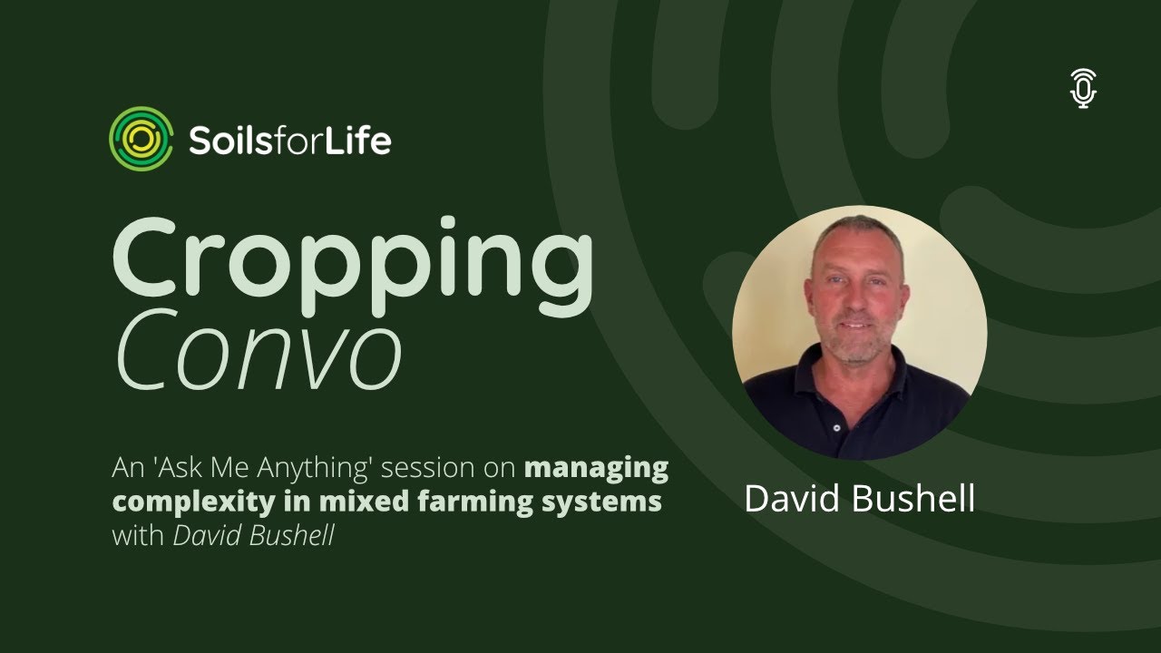 Cropping Convo with David Bushell on managing complexity in mixed farming systems