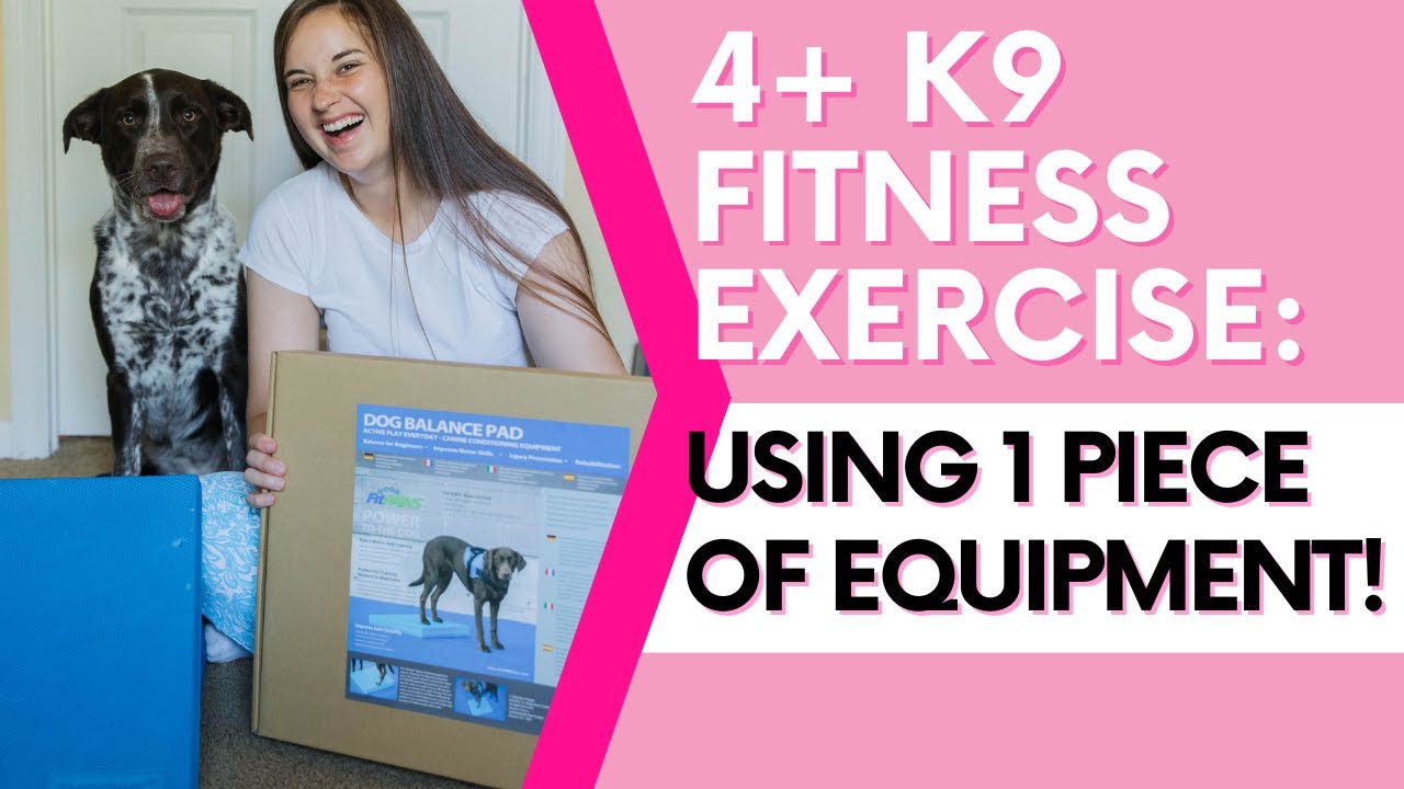 4 K9 Fitness Exercises Using The FitPaws Balance Pad