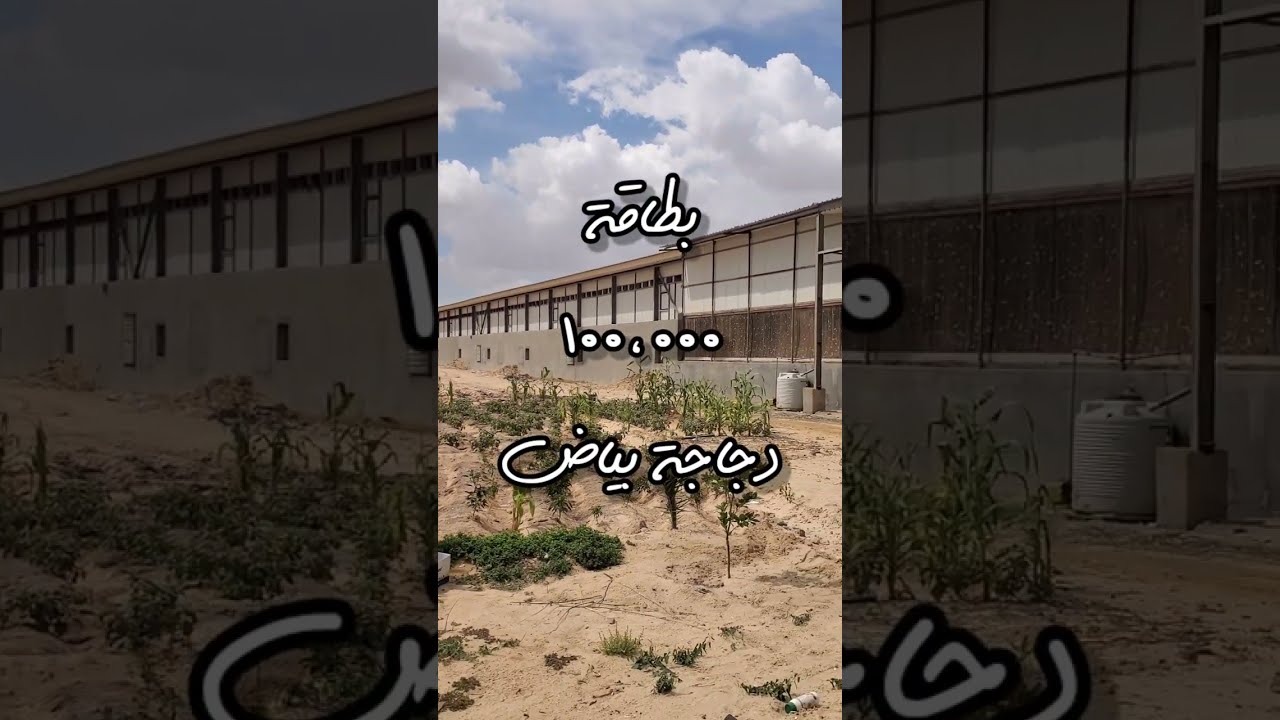 مراحل إنتاج البيض - عنابر هيلمان Hellmann cage