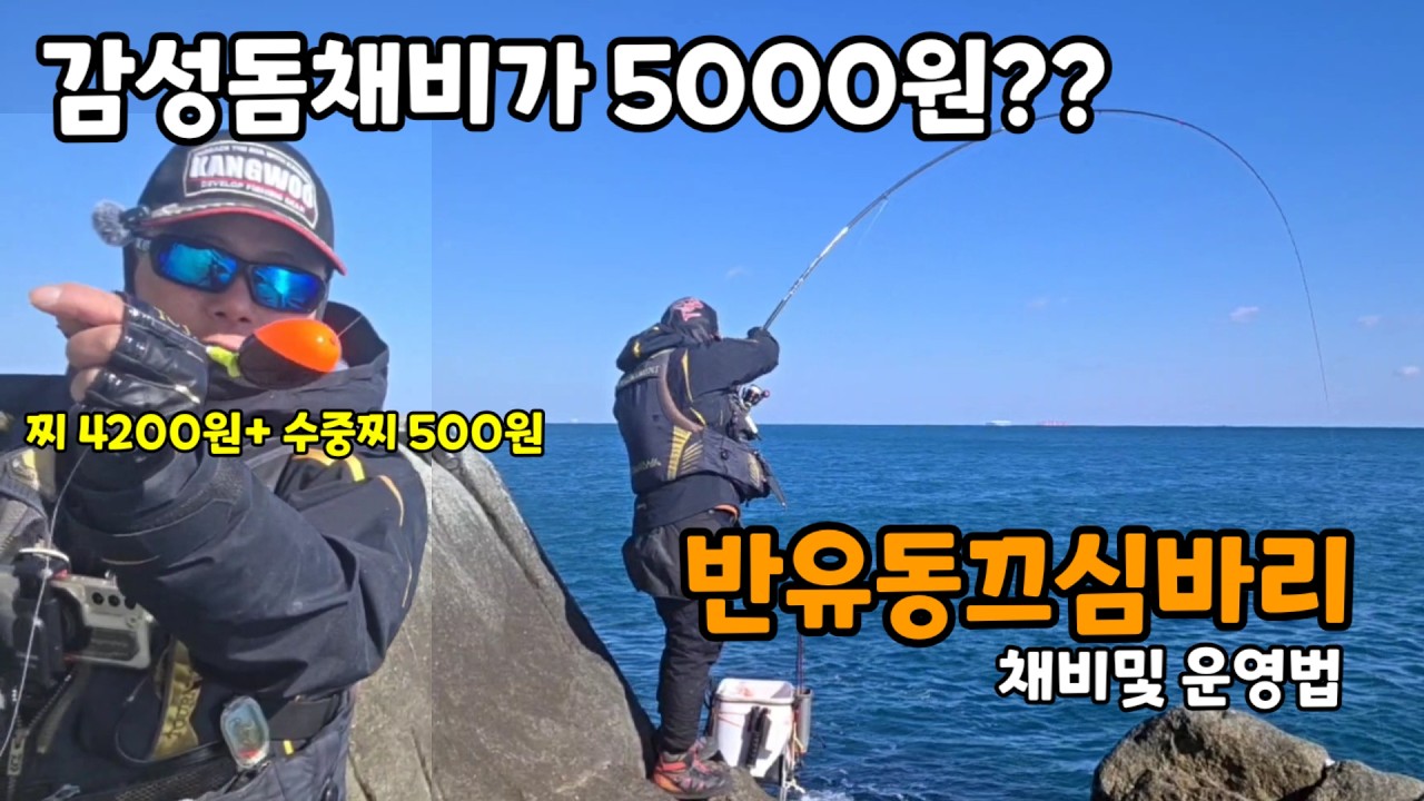 거제 옥림 북바위 반유동끄심바리 채비및 운영법 #끄심바리 #감성돔낚시 #감성돔경단 #감성돔채비 #낚시 #fishing #바다