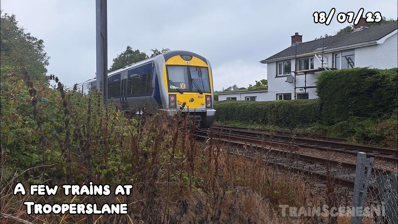 A few trains at Trooperslane 18/07/23