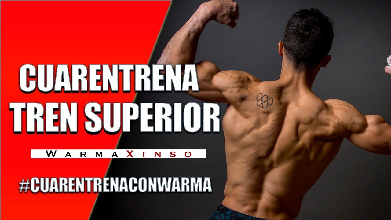 CuarEntrena con WARMA: Rutina tren superior