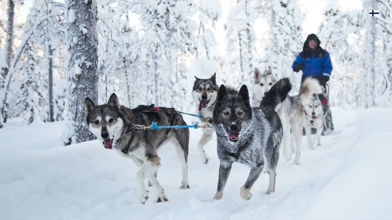 North Lapland road trip part 2