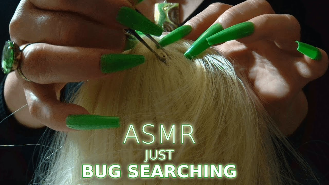 ASMR on a Wig| 1 Hour of Insistent Bug Searching/Scalp Check w/ Minimal Brushing, Plucking & Tracing