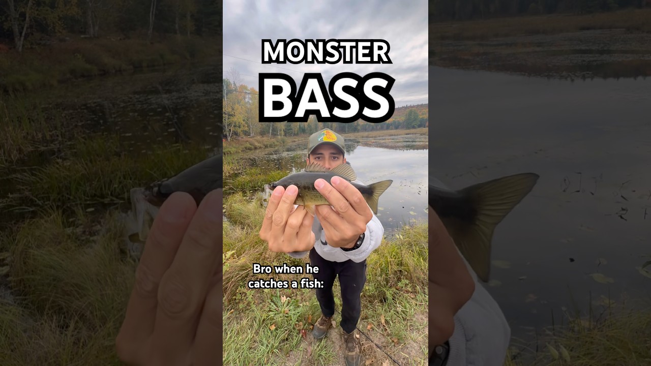 I swear that bass was HUGE #fish #fishing #bassfishing #bassproshop #fishersofmen #jesus #trend #fyp