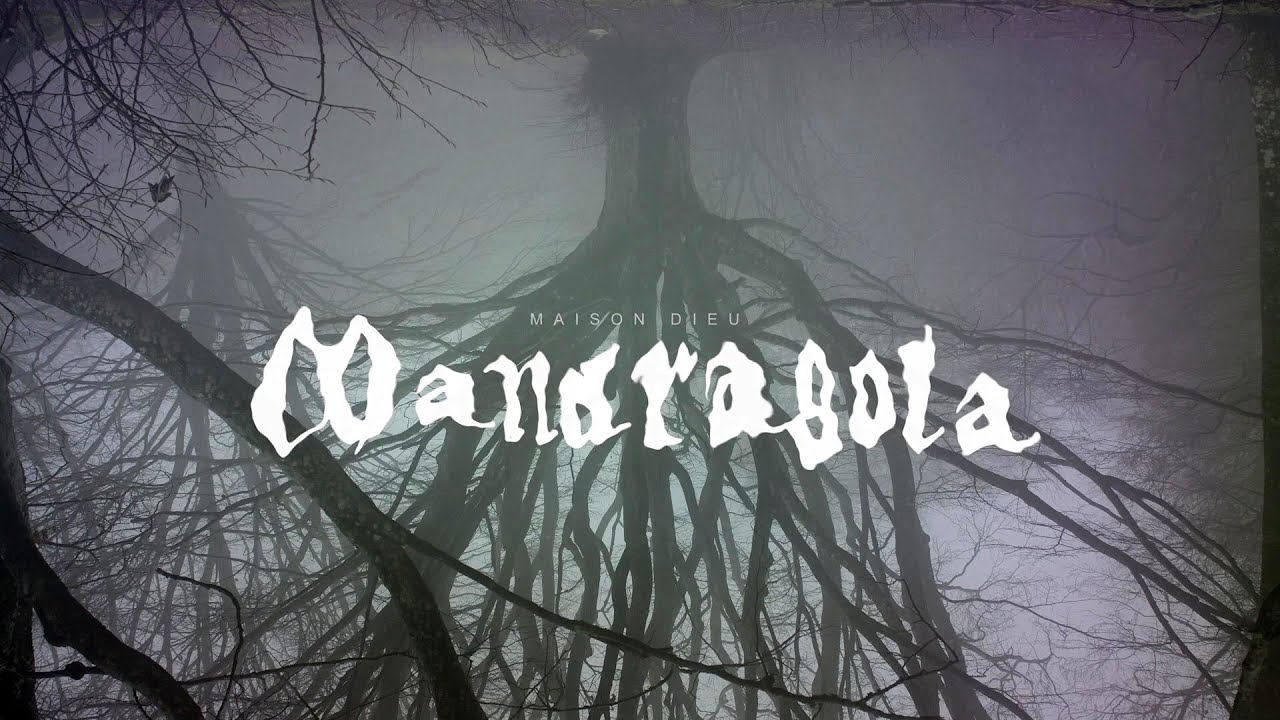 Maison Dieu // Mandragola [Official Music Video]