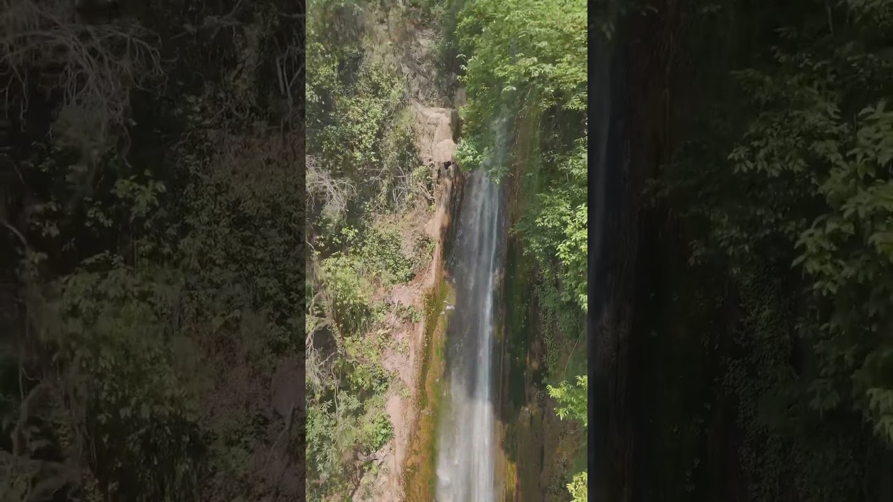Tiger Fall | Chakrata | drone shot | dji mini 4 pro #travel #himalayas #love #pahadi #mountains
