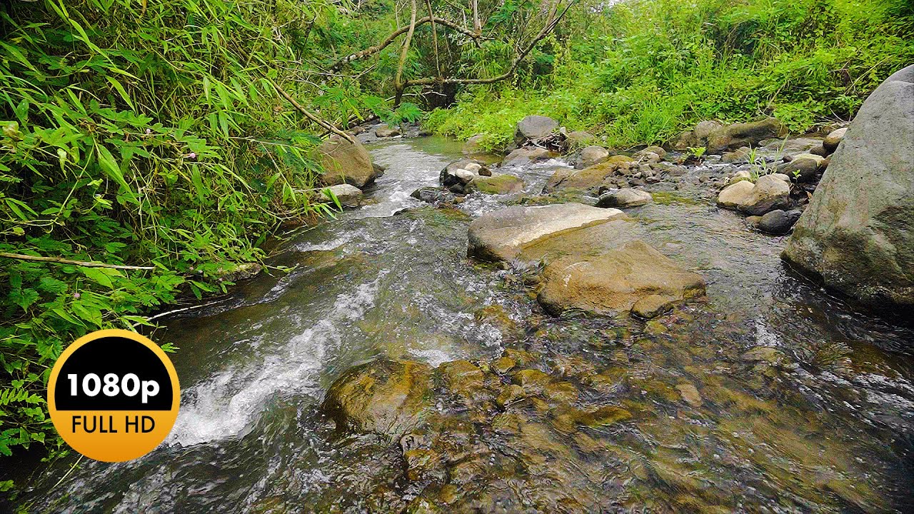 Focused Work Atmosphere | Daytime River Soundscape
