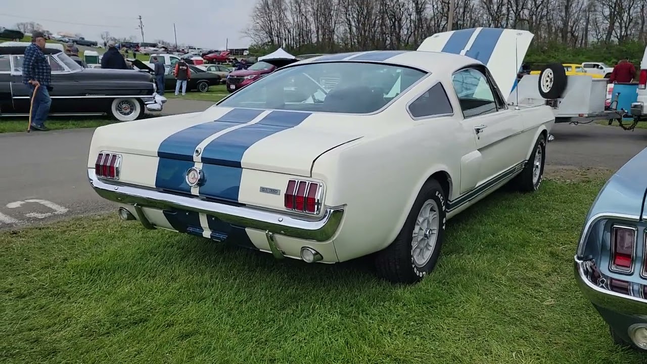 1966 Shelby GT350 Fastback For Sale~Rare Side Exhaust and Just Incredible!