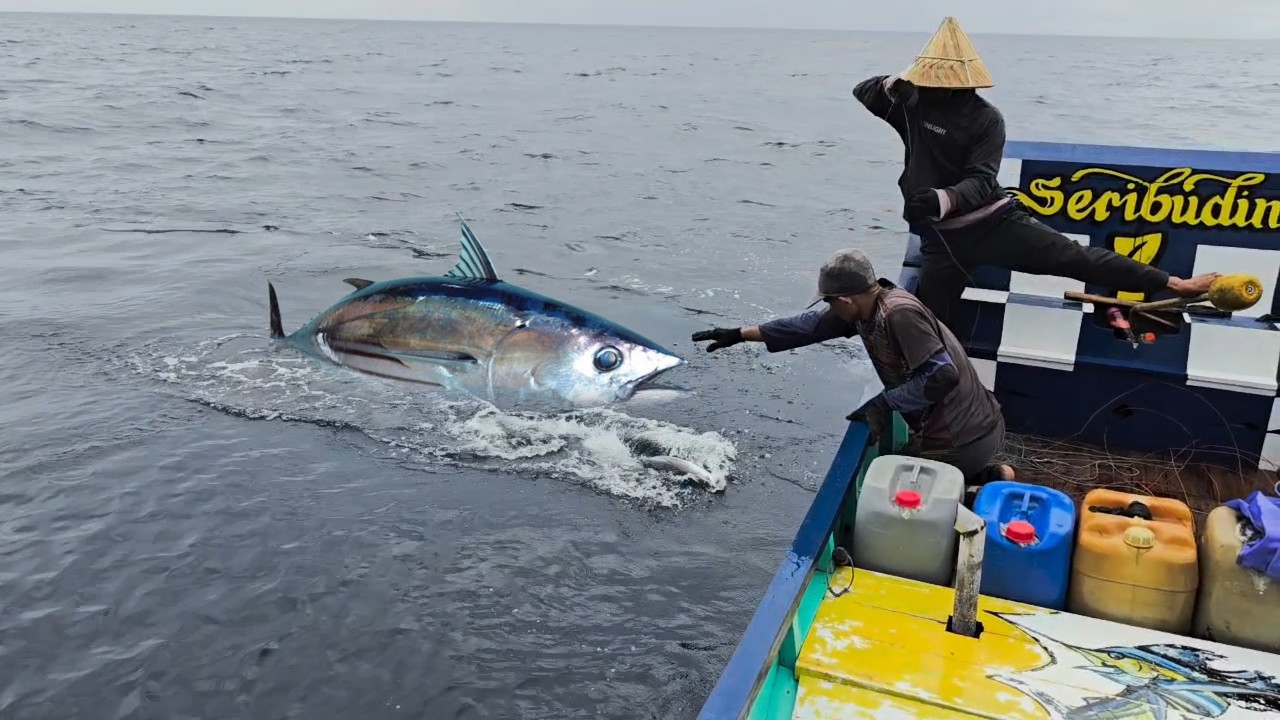Monster Skipjack Tuna Strikes! Insane Deep Sea Fishing Action