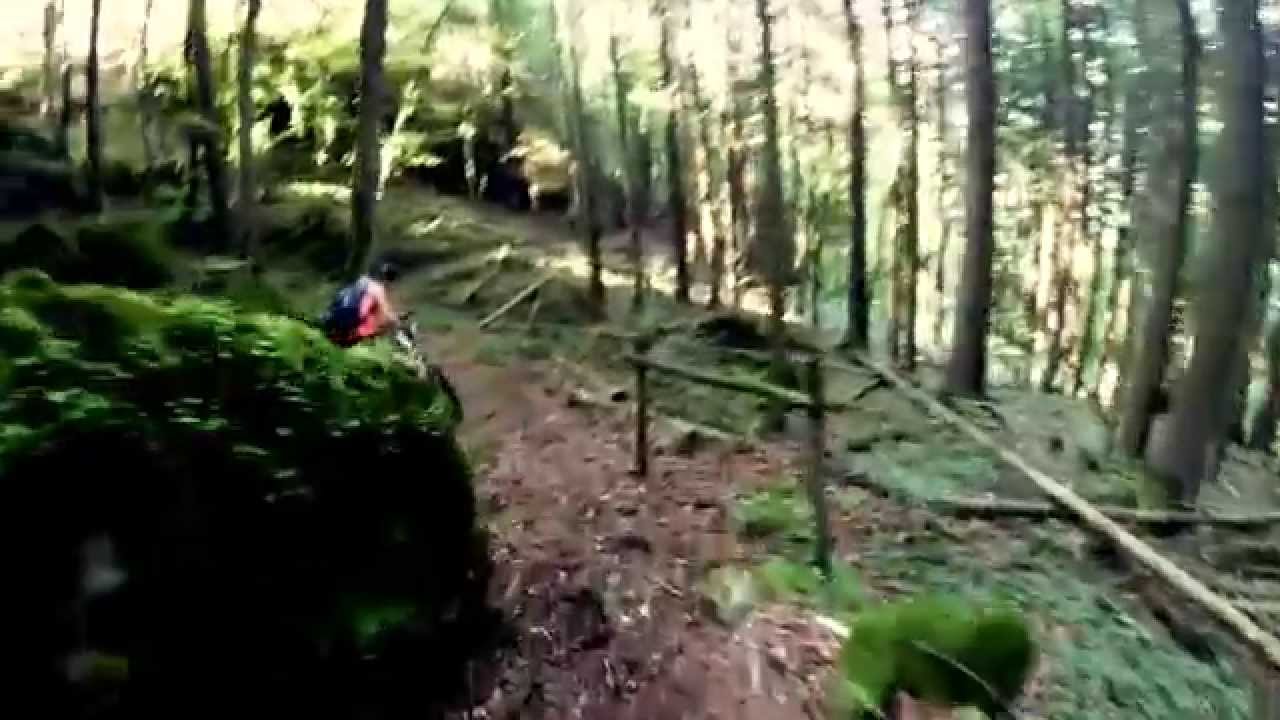 reisberg...dachssteig
