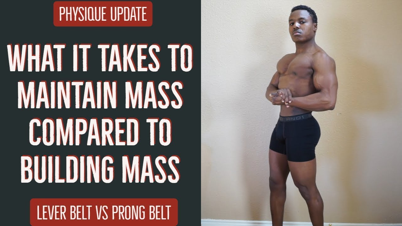 Physique Update | Maintaining Vs Building Size | Prong & Lever Belts