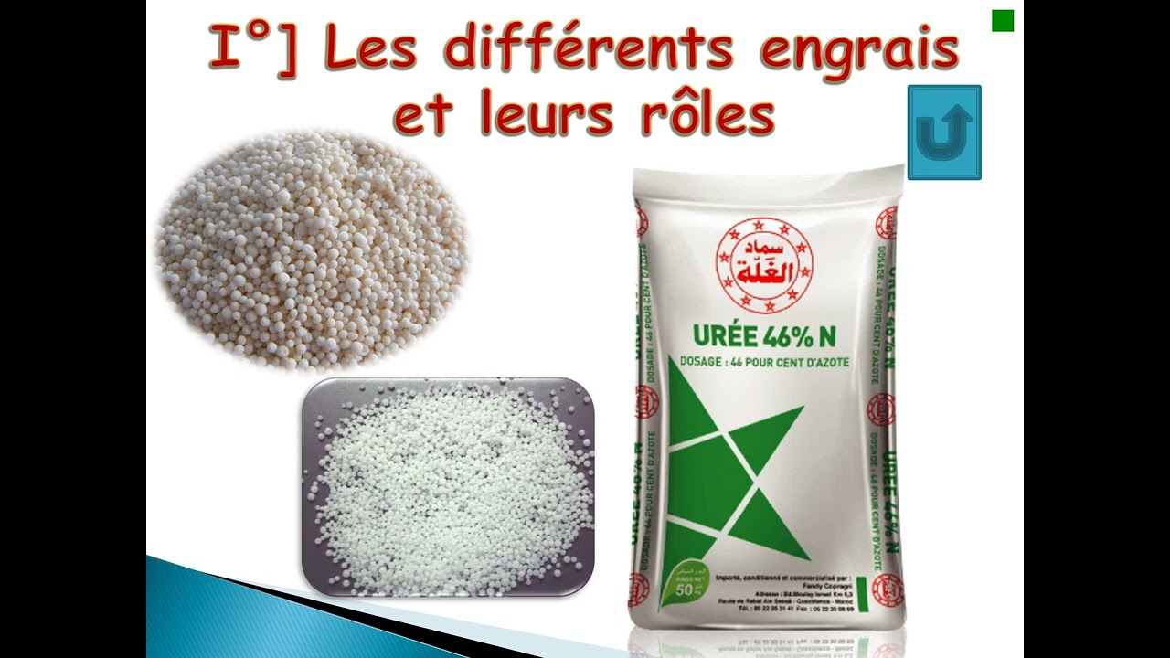 Introduction à la fertilisation