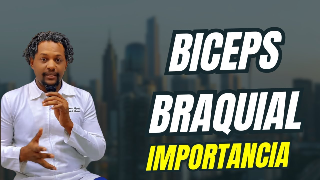 M&Uacute;SCULO B&Iacute;CEPS BRAQUIAL