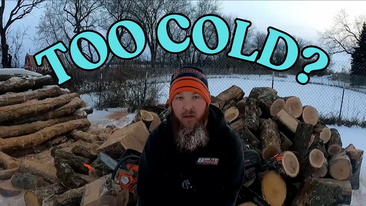 Заготовка дров при -5°… 592XPG это не волновало.