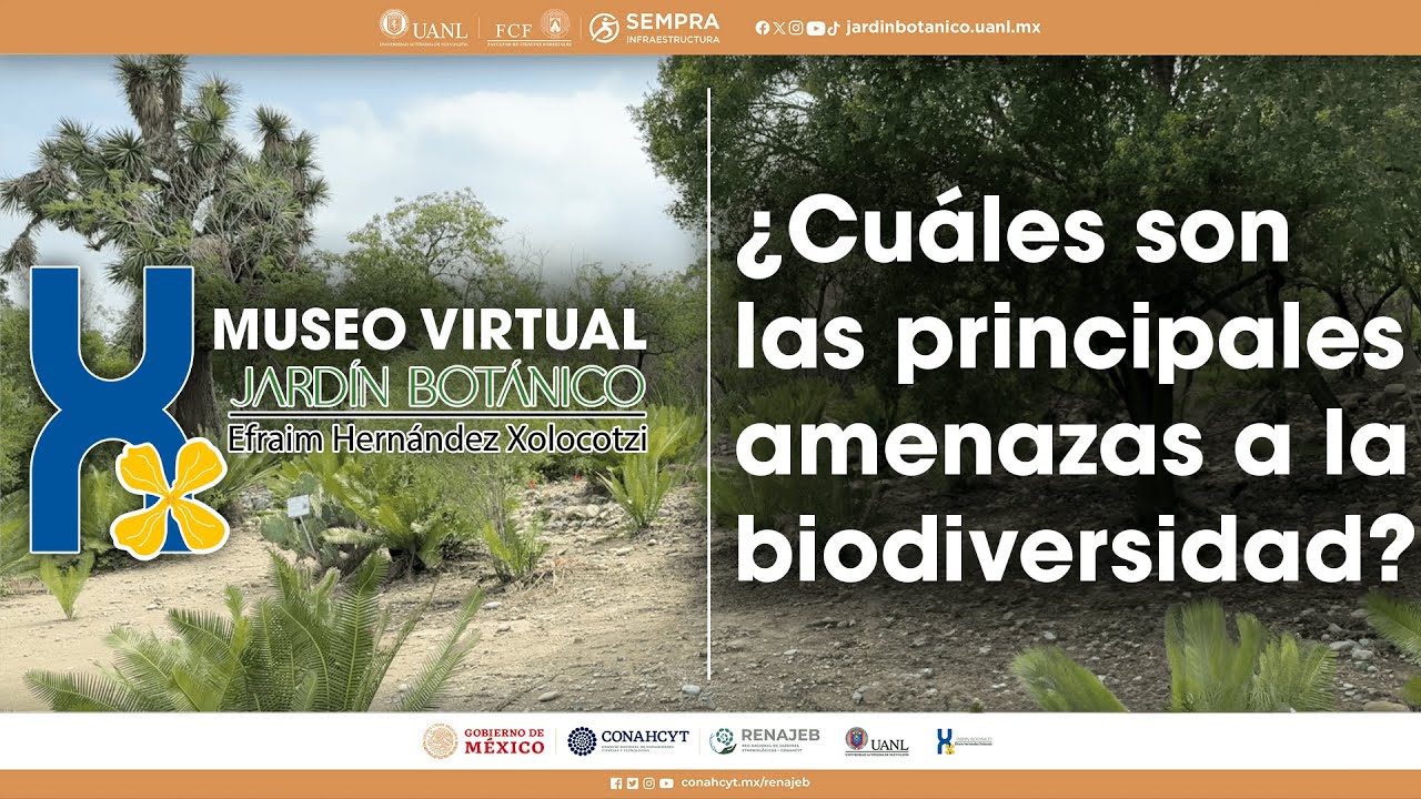 ¿Cuáles son las principales amenazas a la biodiversidad?