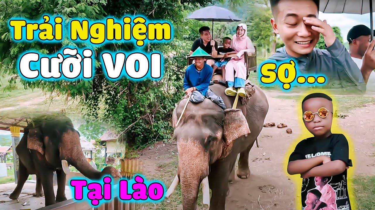 QuangLinh Vlogs || Lần Đầu Trải Nghiệm Cưỡi Voi Tại Lào ? Và Cái Kết........